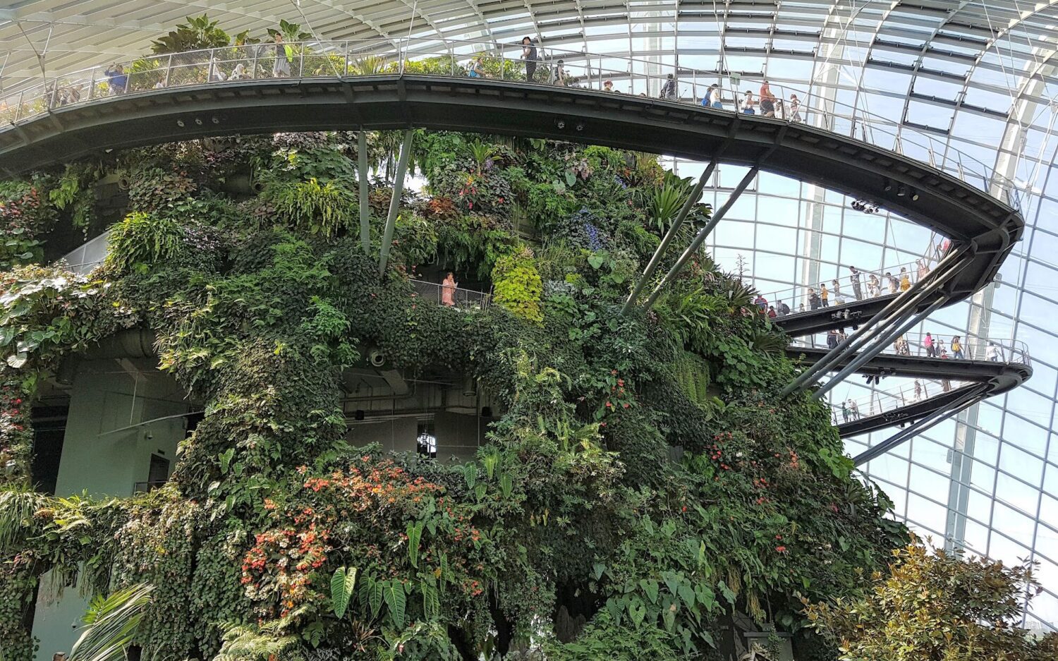 The pathway descending the 13 storey Cloud Forest Mountain in Singapore's Gardens by the Bay