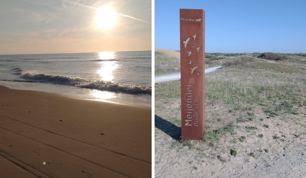 Overlooking the dunes at a fork in the road. Close to Scheveningen, Netherlands. Bike tire tracks on the beach