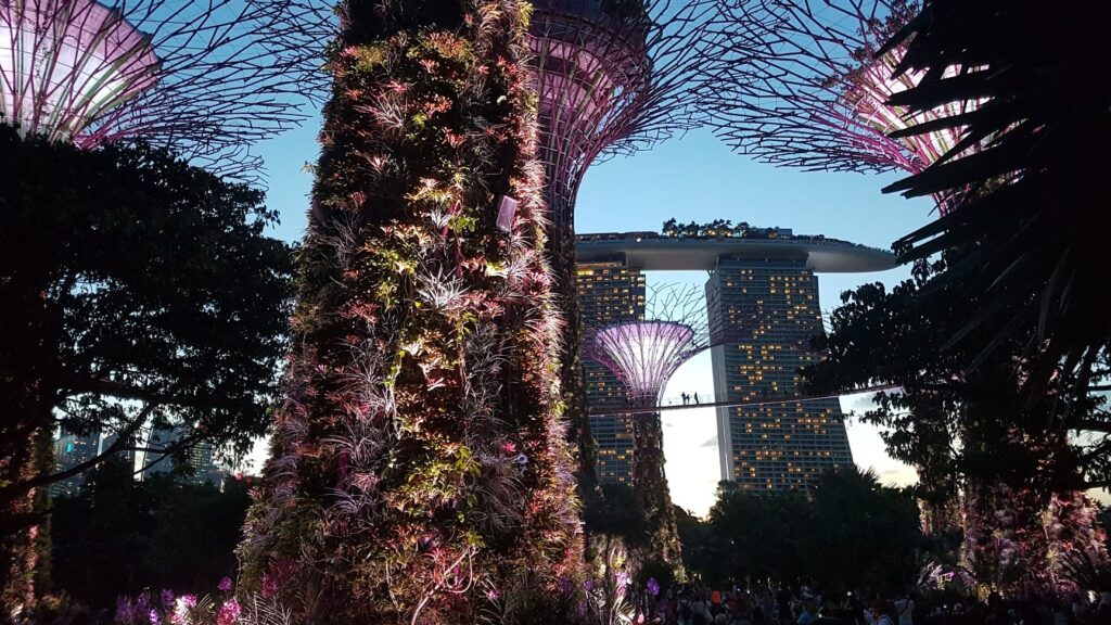 The breathtaking Gardens by the Bay in Singapore. with the Singapore Bay Sands hotel in the Background