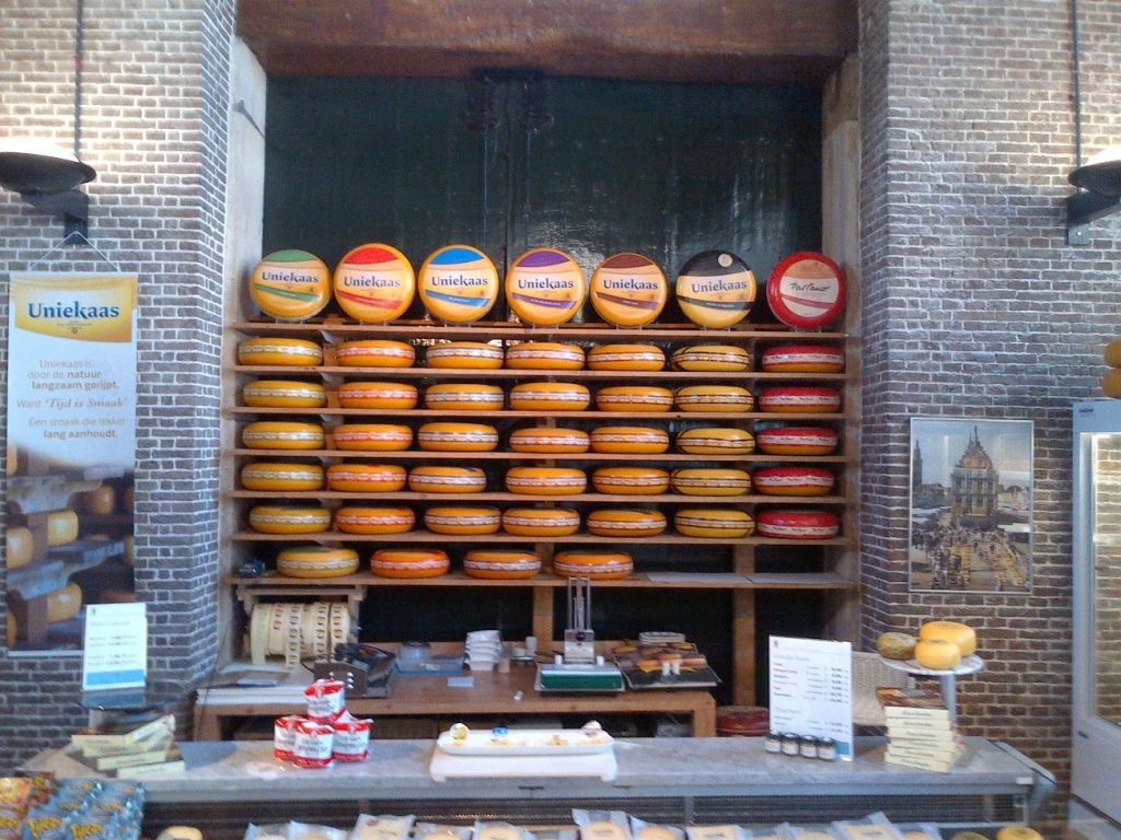 Wheels of Gouda shown in Gouda's Waag Weigh House, now a museum Gouda, Netherlands.
