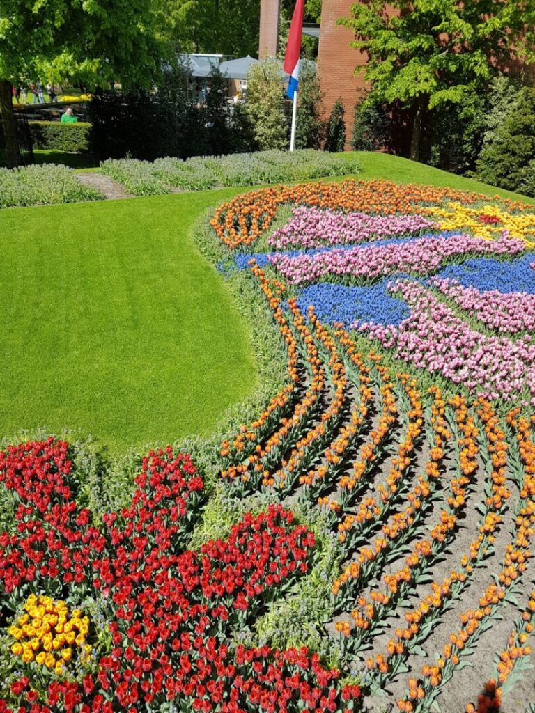 Amazing Floral displays at the Keukenhof