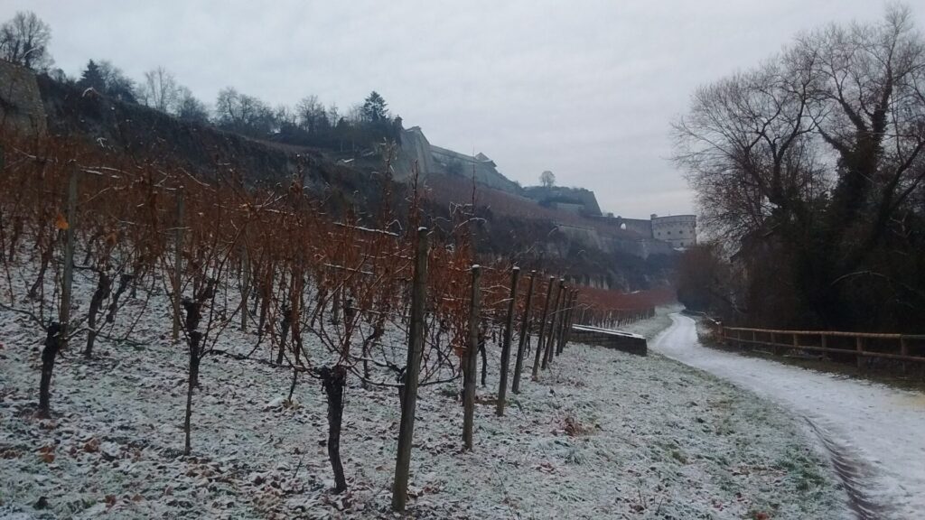 Footpath to Würzburg's Marienberg Fortress in the winter, winding through the surrounding vineyards.